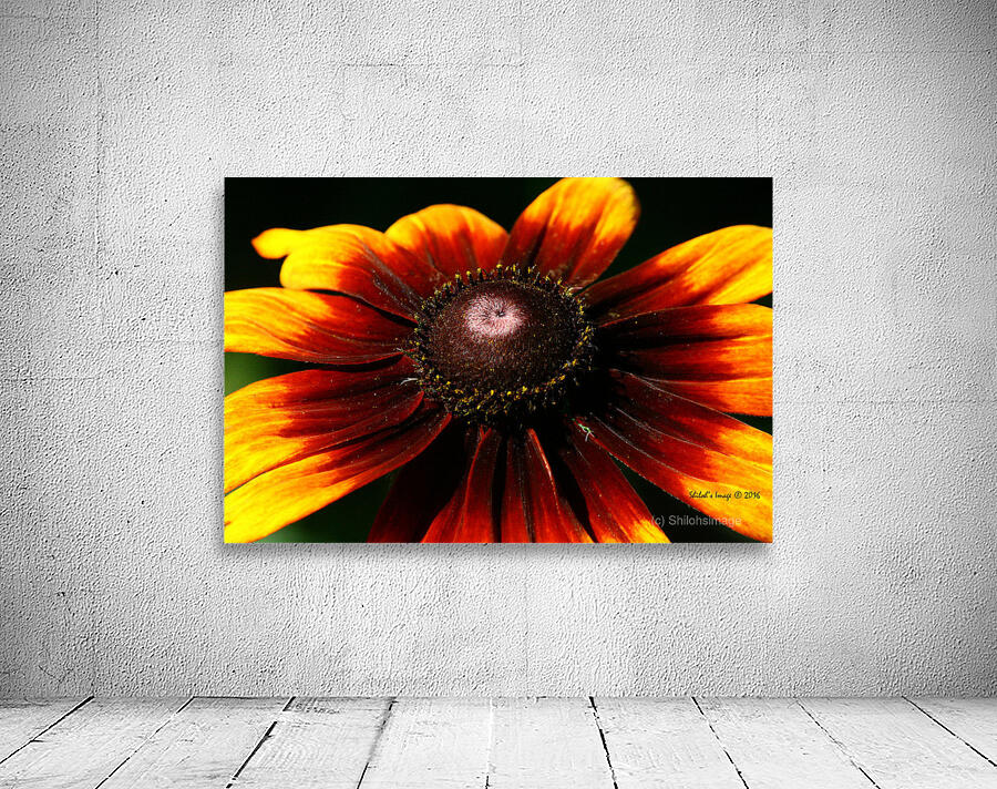 Summer sunflower Wall Preview