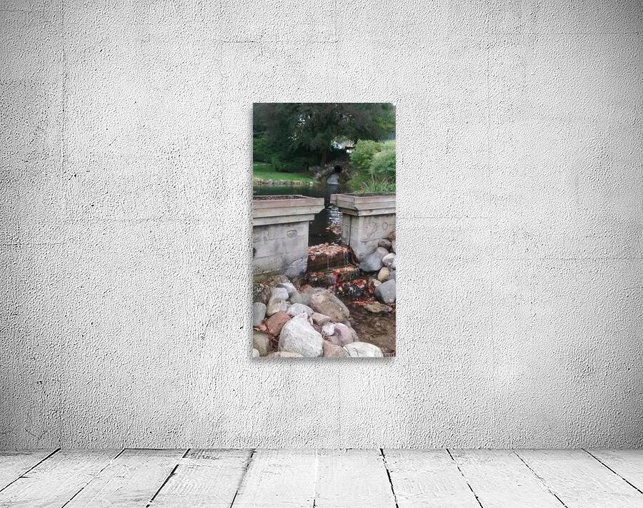 Pond Wall Preview