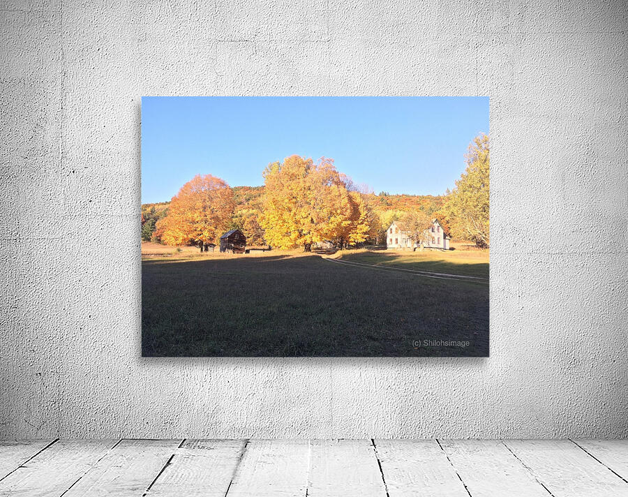 Homestead Wall Preview