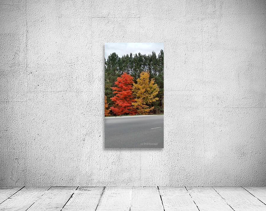 Twin Maples Wall Preview