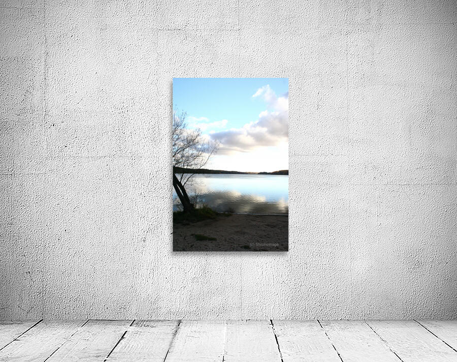 Morning Light Wall Preview
