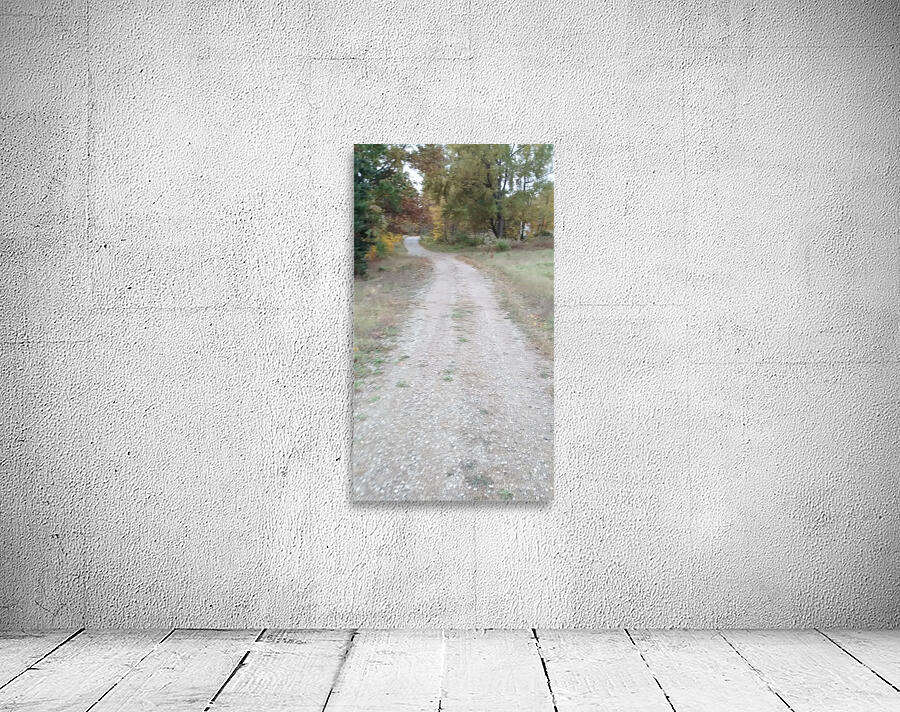 Stone Path Wall Preview