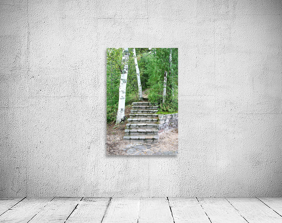 Outdoor Stairs Wall Preview