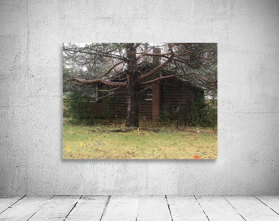 Log Cabin Wall Preview