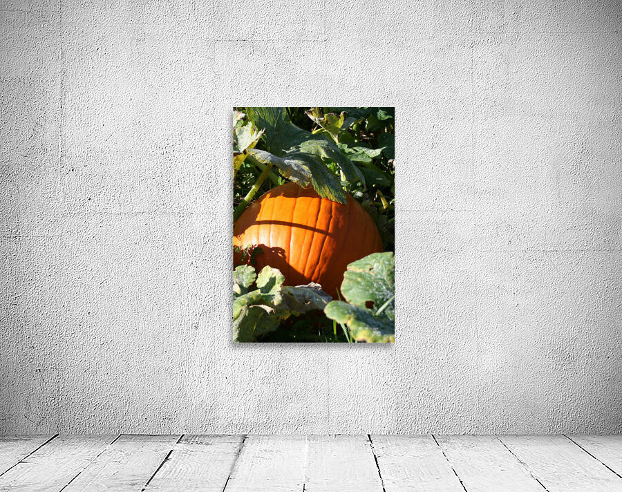 Pumpkin Wall Preview