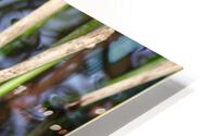 Chasseurs s abstenir HD Metal print