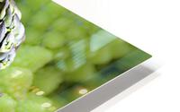 Ephemere HD Metal print