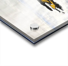 LAND IN WATER Acrylic print