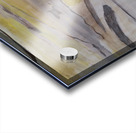 LADY BUG Acrylic print