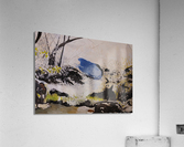 THE WISH POND Acrylic Print