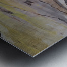 LADY BUG Metal print