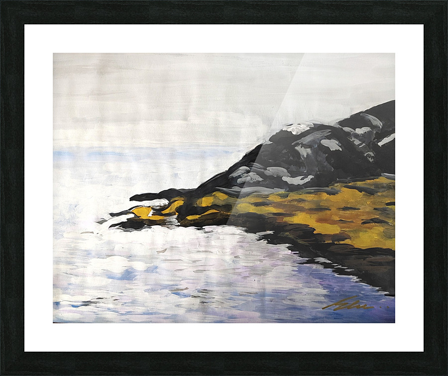 LAND IN WATER Picture Frame print