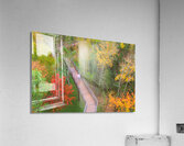 Forest fallautumn colors Acrylic Print