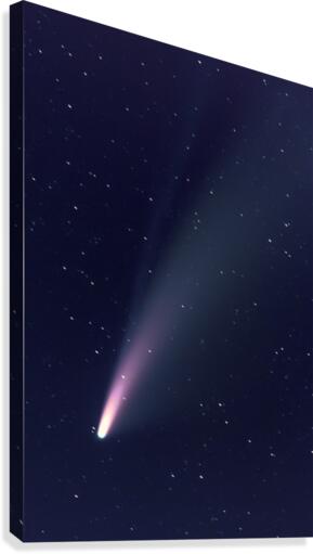 Neowise Comet 2020 Canvas Print