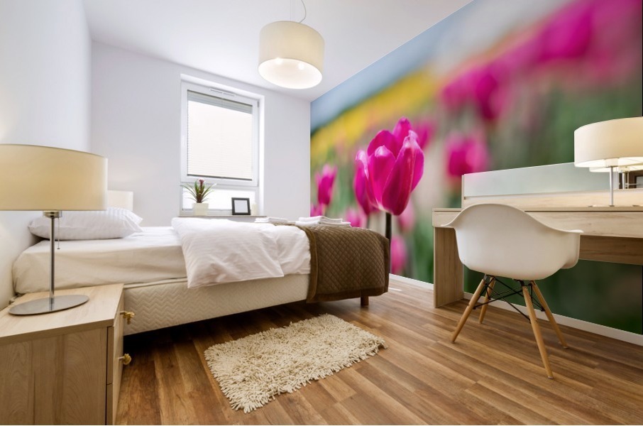 Pink Tulips Mural print