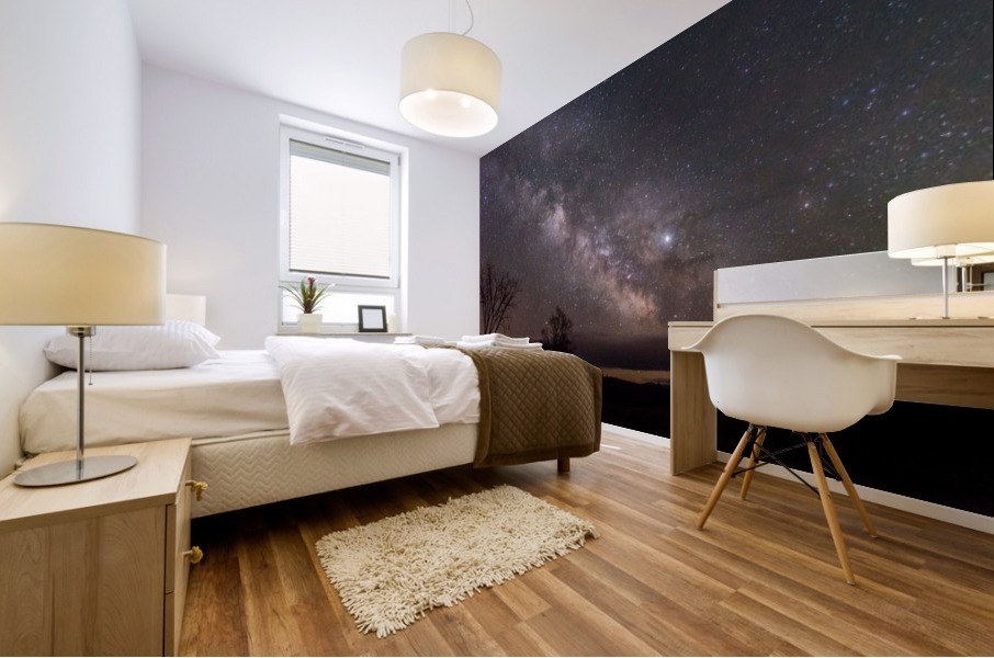 Milky Way Mural print