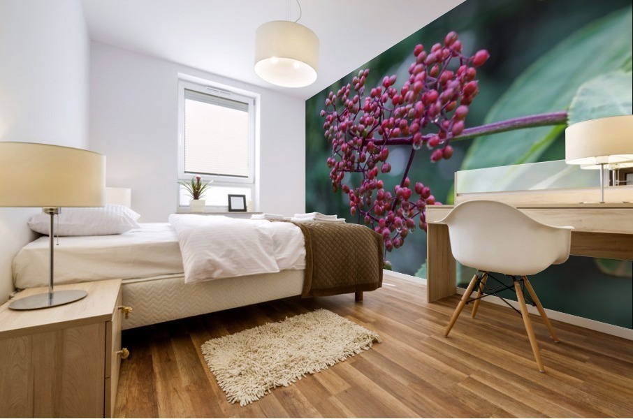 Berries Mural print