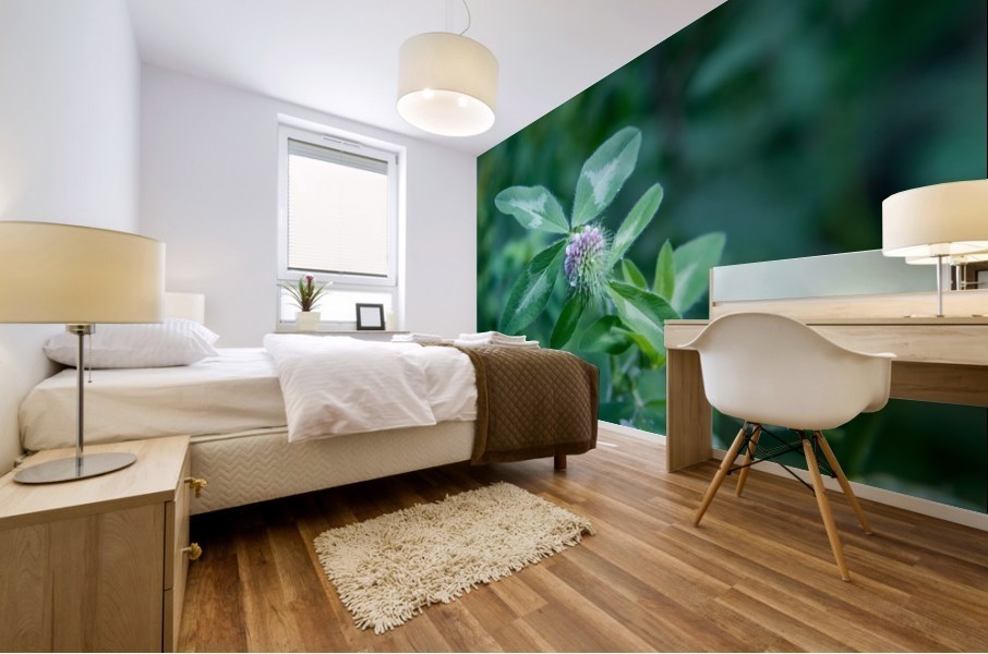 Wild beautiful grass Mural print