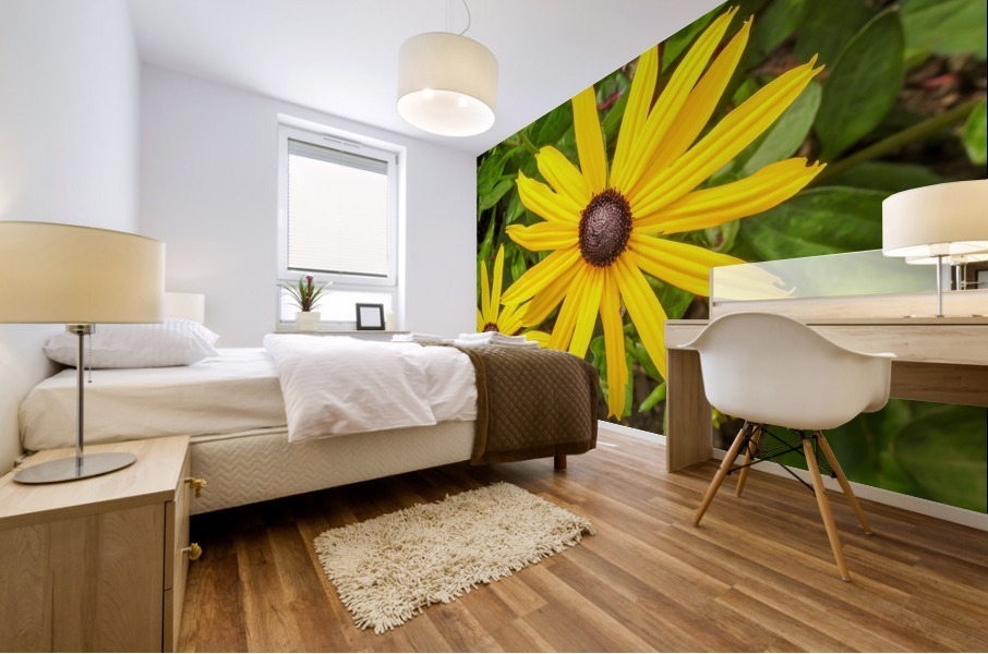 Close up sunflower Mural print