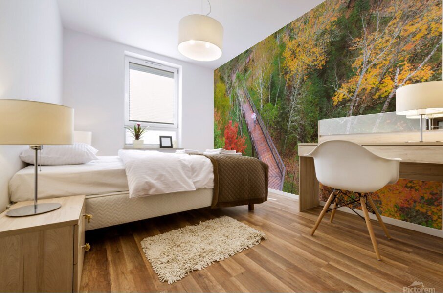 Forest fallautumn colors Mural print