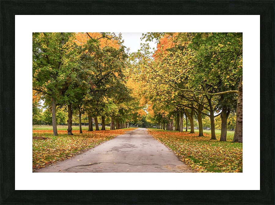 Autumn colours Picture Frame print