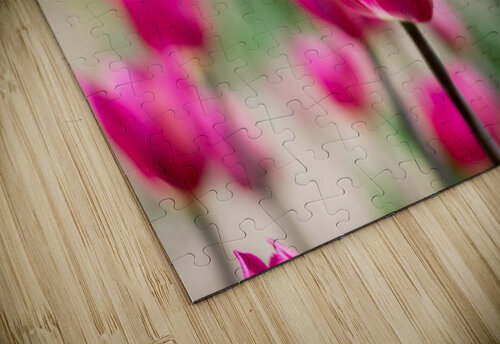 Pink Tulips RezieMart puzzle