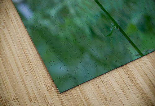 Flower in the wild  RezieMart puzzle