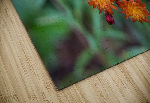 Orange wild flower RezieMart puzzle