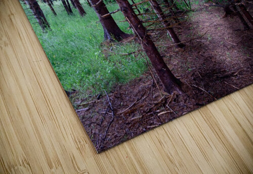 Pine tree trunks RezieMart puzzle