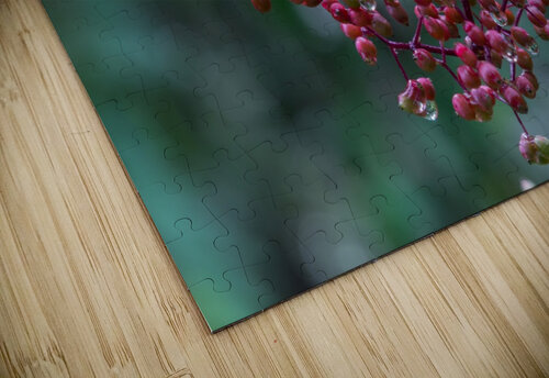 Berries RezieMart puzzle