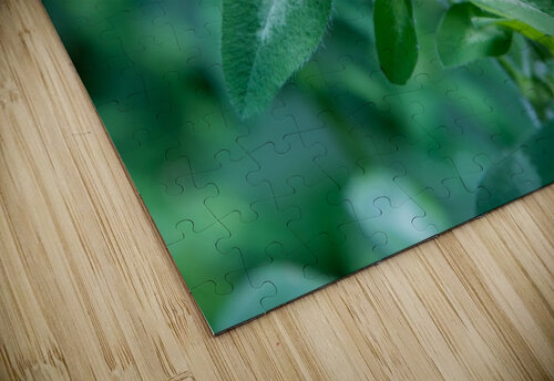Wild beautiful grass RezieMart puzzle