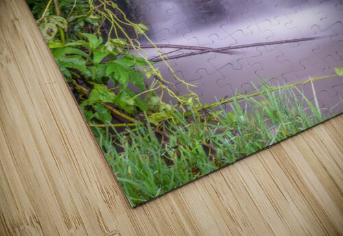 Stream on land RezieMart puzzle