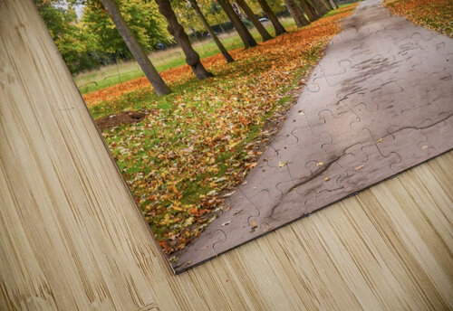 Autumn colours RezieMart puzzle