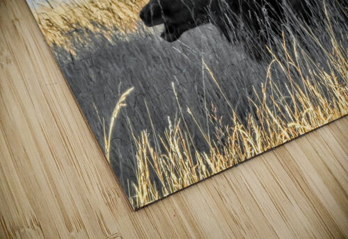 Deer on field RezieMart puzzle