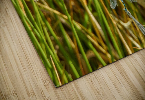 Four dragonfly love RezieMart puzzle