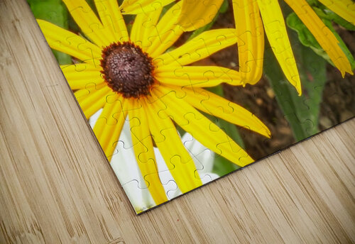 Close up sunflower RezieMart puzzle