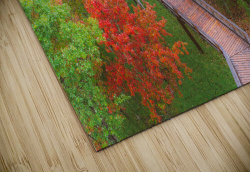 Forest fallautumn colors RezieMart puzzle