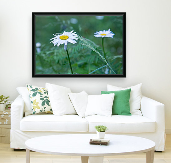 Flower in the wild  Reproduction