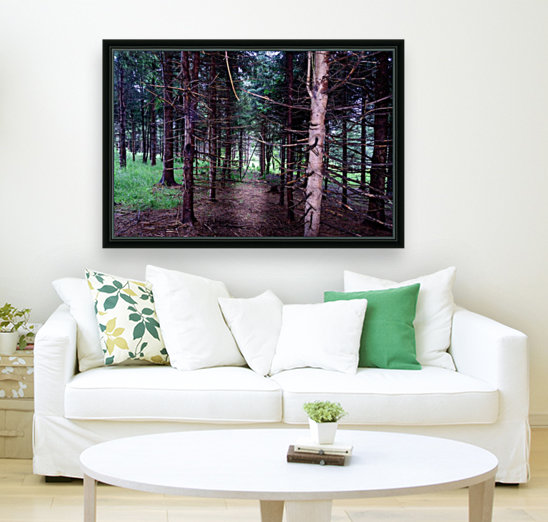 Pine tree trunks Reproduction