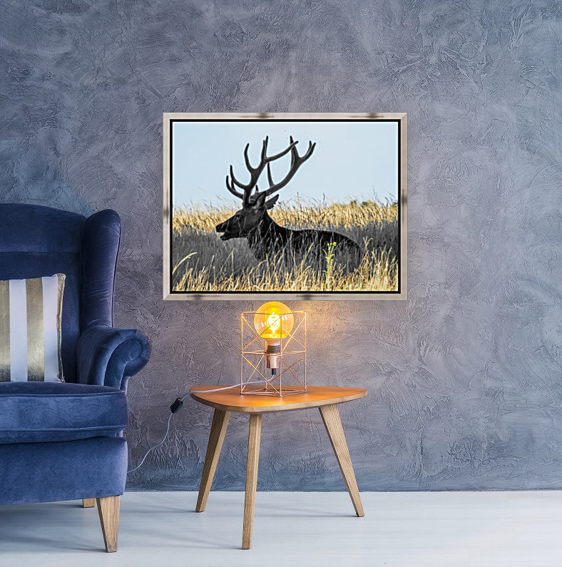 Deer on field Reproduction