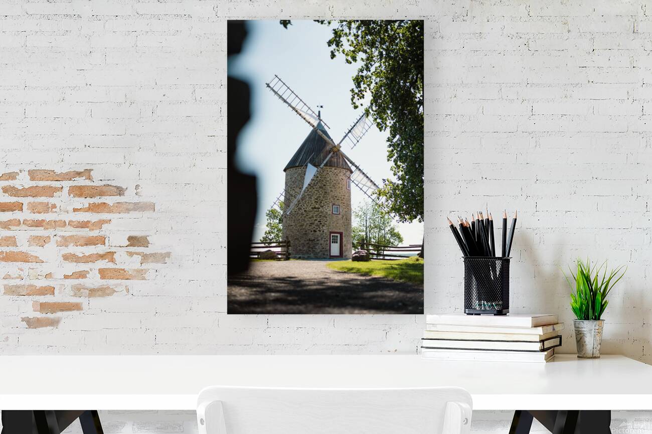 Windmill Reproduction
