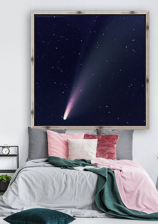 Neowise Comet 2020 by RezieMart