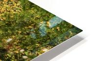 Autumn colours HD Metal print