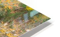 Forest fallautumn colors HD Metal print