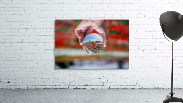 Crystal Ball Wall Preview