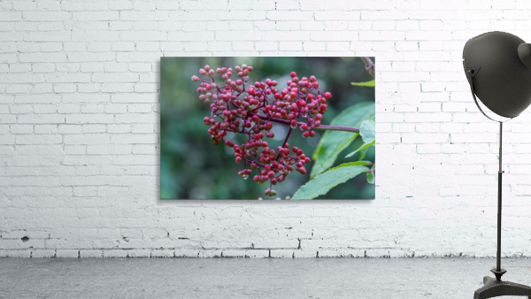 Berries Wall Preview