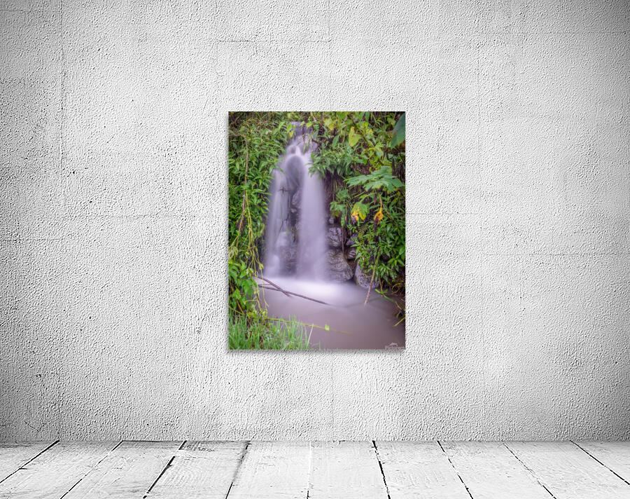 Stream on land Wall Preview
