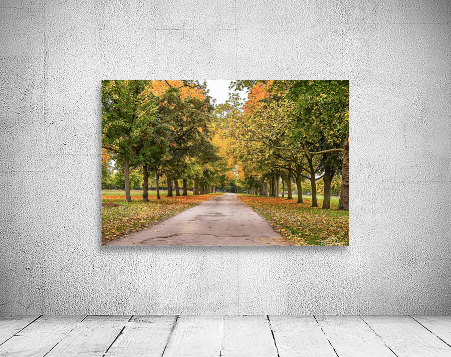 Autumn colours Wall Preview