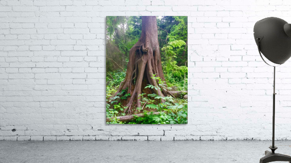 image_1601579340.0258 Wall Preview