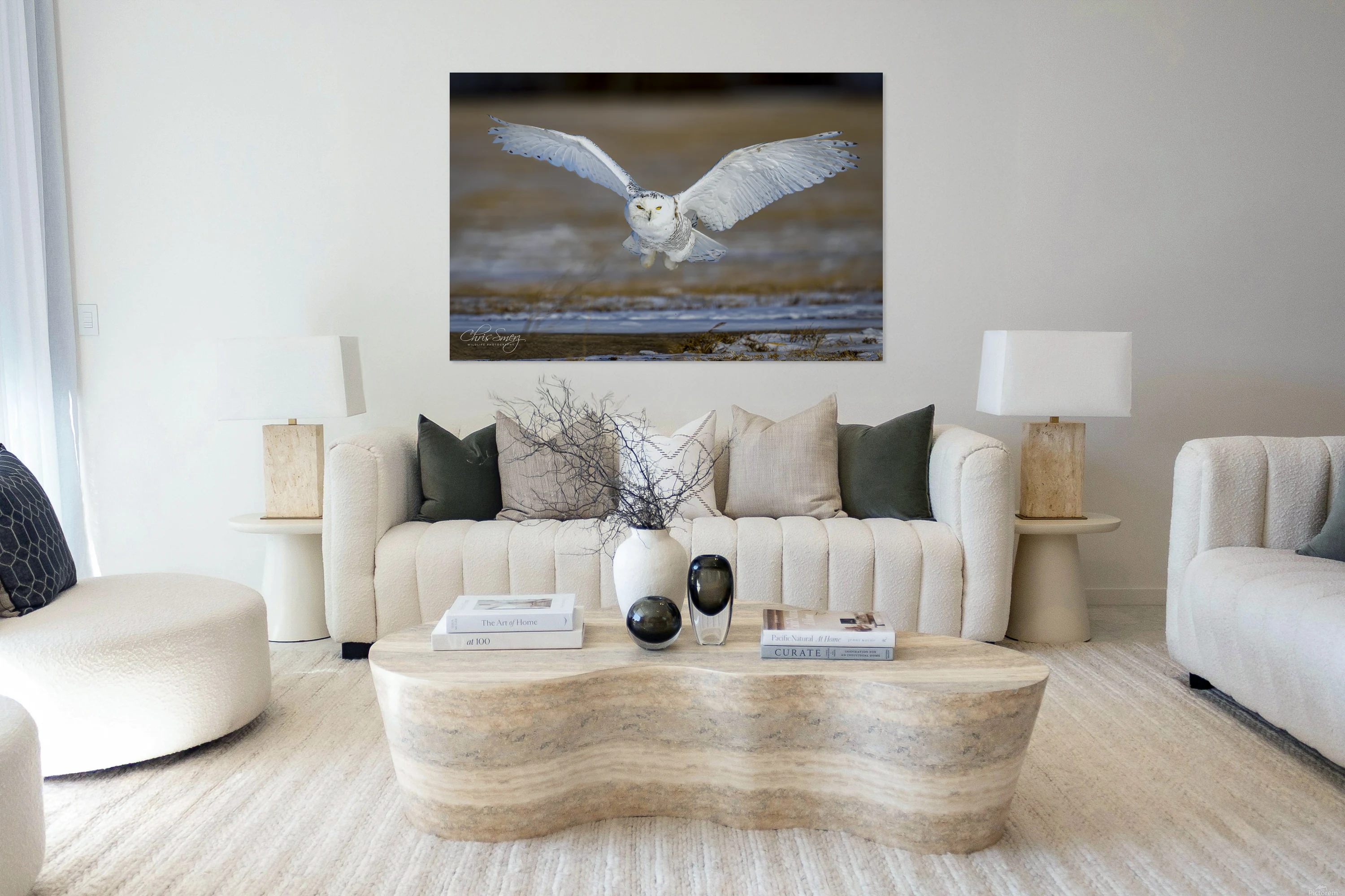 Snowy Owl Flight Winter Field